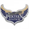 Emaillierte Anstecknadel mit Pilotenflügeln im Peekermotiv, ideal für Luftfahrtenthusiasten und Sammler.