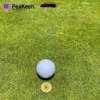 Una bola de golf descansando en el green, marcada por un marcador de golf, lista para el siguiente golpe en el campo.