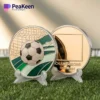 A soccer ball and a soccer-themed coin resting on a vibrant green field.