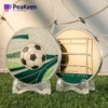 A soccer ball and a soccer-themed coin resting on a vibrant green grass field.