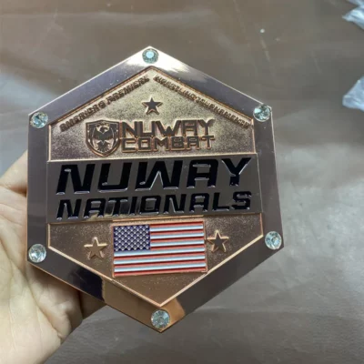 Individual holding a badge labeled "NWWAY National" next to a Wrestling Championship Belt, showcasing their achievement.