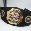 Gold world heavyweight wrestling champion belt with EST. 2024 center plate and pinfall and submission side plates, studio product display