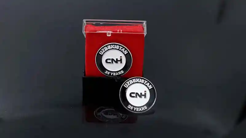 Custom metal lapel pin celebrating a 25-year corporate anniversary, displayed in a red velvet presentation box