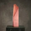 Trophée d'entreprise couleur cuivre, au design géométrique angulaire épuré, gravé du logo HSBC et des coordonnées du lauréat, posé sur un socle en marbre foncé