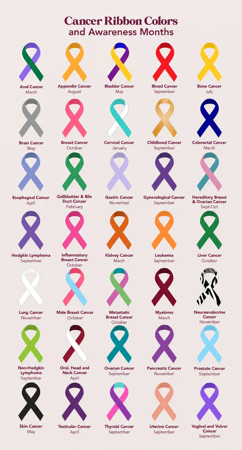 Una infografía en la que se muestran los 35 colores de los lazos de concienciación sobre el cáncer y los meses de concienciación correspondientes, entre los que se incluyen el cáncer de mama, el cáncer de pulmón, la leucemia, el cáncer de próstata, el cáncer de ovario y otros tipos de cáncer.